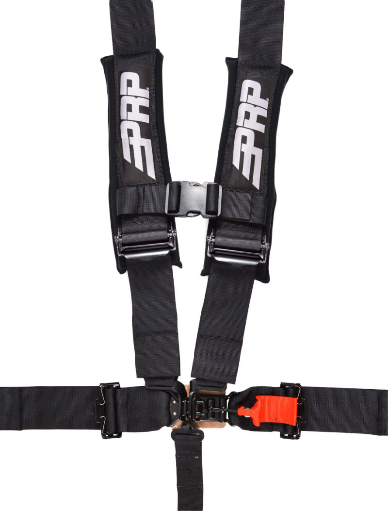 PRP 5.3 Harness