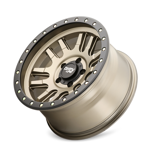 DLW Canyon Pro Wheels